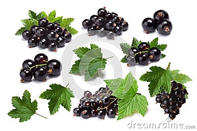 Set of blackcurrant berries (Ribes Nigrum) and leaves, paths Stock Photo