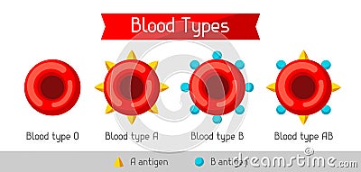 Set of blood cells types. Medical and healthcare infographic Vector Illustration