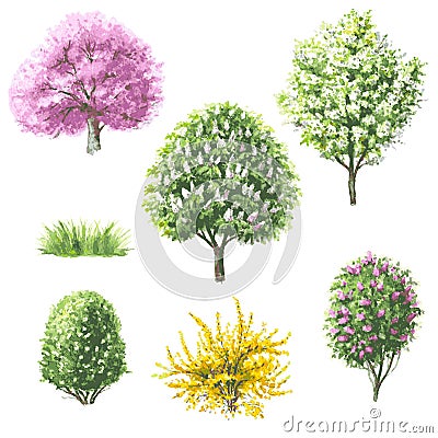 Set of blooming trees and bushes. Vector Illustration