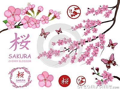 Set with blossom sakura flowers. Cherry flower blossom. Pink sakura flower blossom isolated on white background. Spring cherry Vector Illustration