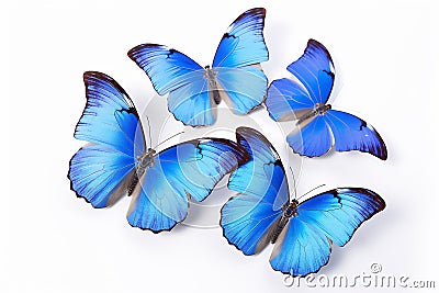 Set of blue exotic butterfly Stock Photo