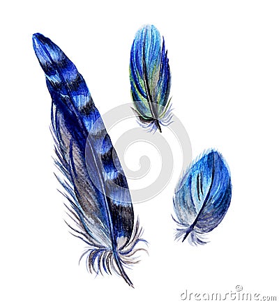 Set of blue feathers, watercolor painting Stock Photo