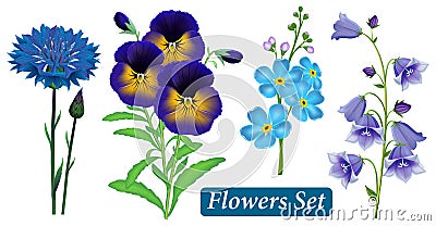 Set of blue wild flowers on a white background, vector. Vector Illustration