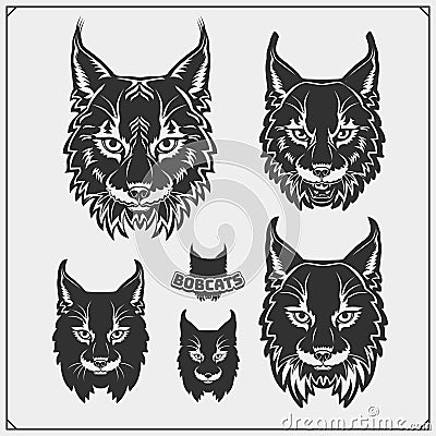 Set of bobcat illustrations and silhouettes. Emblems with bobcat for a sport team. Print design for t-shirts. Vector Illustration