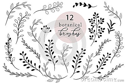 Set of botanical brushes, rustic hand drawn branches and leaves Vector Illustration