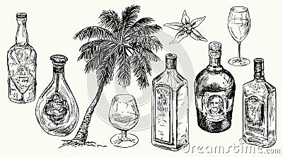 Set bottle for rum. Vector Illustration
