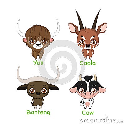 Set of bovine species Vector Illustration