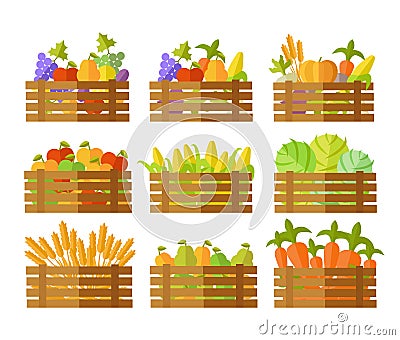 Set of Boxes With Fruits and Vegetables in Vector. Vector Illustration