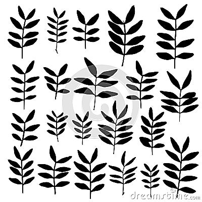 Set of branch silhouettes with leaves. Vector Illustration