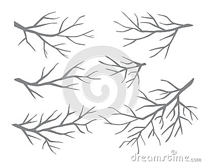 Set of branches Vector Illustration