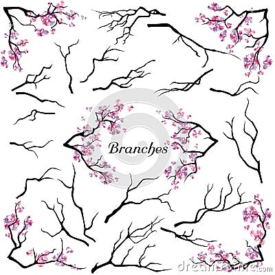 Set of branches on white background Vector Illustration