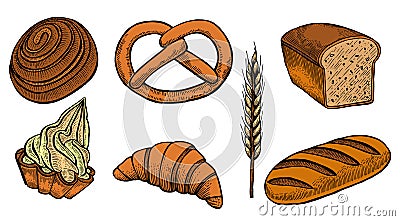 Set bread products Vector Illustration