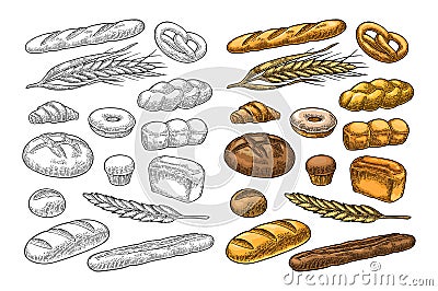 Set bread. Vector color vintage engraving Vector Illustration