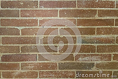 Set of brick tiles with various shades of color Stock Photo