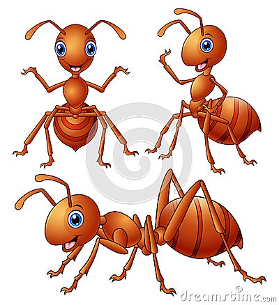 Set of brown ants cartoon Vector Illustration