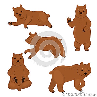 Set of brown bears isolated on a white background. Vector graphics Stock Photo