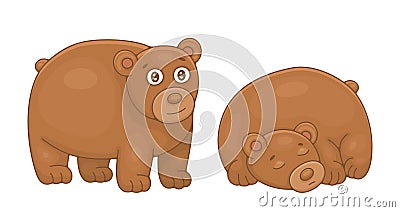 Set of Brown Bears Vector Illustration
