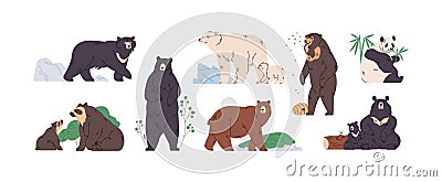 Set of brown, polar, black, Himalayan, Malay, spectacled, honey, sloth bear and panda. Animals in different poses Vector Illustration