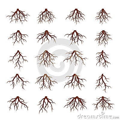 Set of Brown Roots. Vector Illustration. Vector Illustration