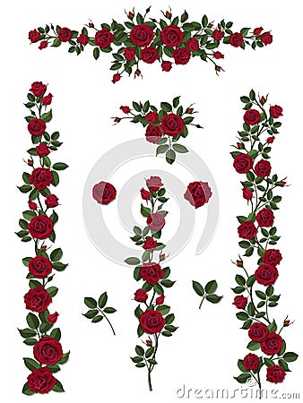 Set brushes flowers climbing roses Vector Illustration