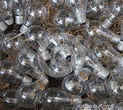 Set of extinguished light bulbs. Stock Photo