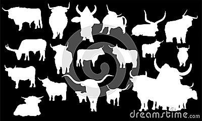 Set of bull silhouette. Vector illustration on a white background. silhouettes of bulls in different positions. eps 10 Vector Illustration