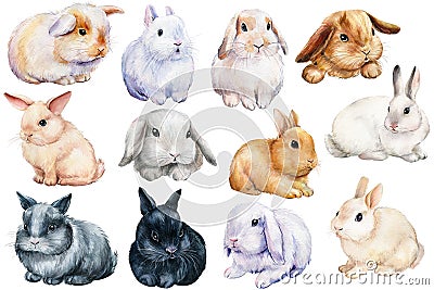 Set of bunnies on an isolated white background, painted with watercolor. Easter rabbits Cartoon Illustration