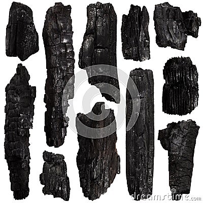 Set of Burnt bark tree Stock Photo