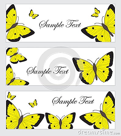 Set butterflies banner. Banner template with butterflies. Colored butterfly banner. Vector illustration Vector Illustration