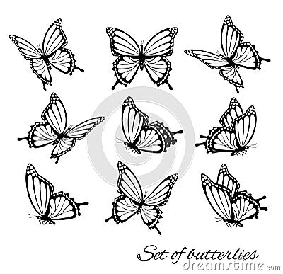 Set of butterflies, flying in different directions. Butterfle silhouette. Vector Illustration