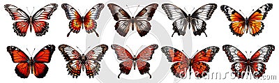 Set of Butterflies, isolated on transparent background, top view, realistic illustration, generative ai Cartoon Illustration