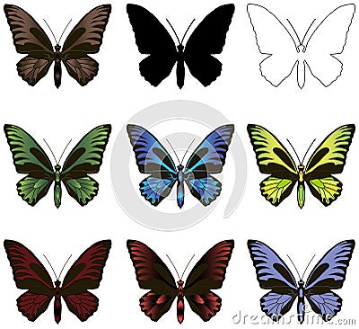 Set of butterflies. Silhouette, outline and painted. Vector Illustration