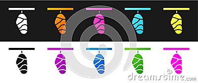 Set Butterfly cocoon icon isolated on black and white background. Pupa of the butterfly. Vector Vector Illustration