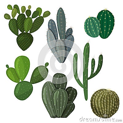A set of cacti. Vector image in a flat style. A colorful collection Vector Illustration