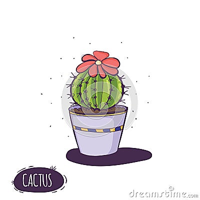 Set of cactus. Hand drawn succulent ornament. Vector illustration of a cactus isolated on a white background. Cute hand Vector Illustration