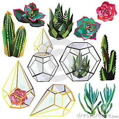 Set of cactus Vector Illustration
