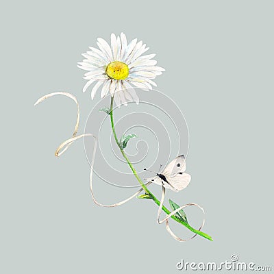 Set of camomile, white butterfly and white paper ribbon hand-drawn. Watercolor floral illustration of delicate flowers Cartoon Illustration