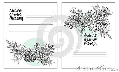 Set card template with pattern realistic botanical ink sketch of fir tree branches with pine cone on white background Vector Illustration