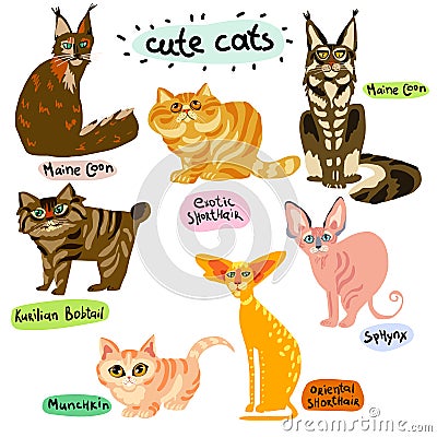 Set of cartoon cats characters Vector Illustration