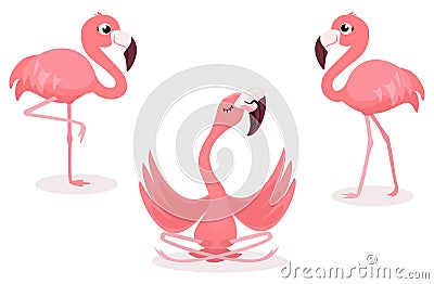 Set of cartoon flamingos isolated on white background. Vector illustration. Vector Illustration