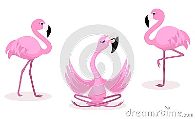 Set of cartoon flamingos isolated on white background. Vector illustration. Cartoon Illustration