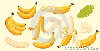 Set of cartoon illustration yellow bananas. Single, banana peel and bunches of fresh banana fruits. Vector Illustration
