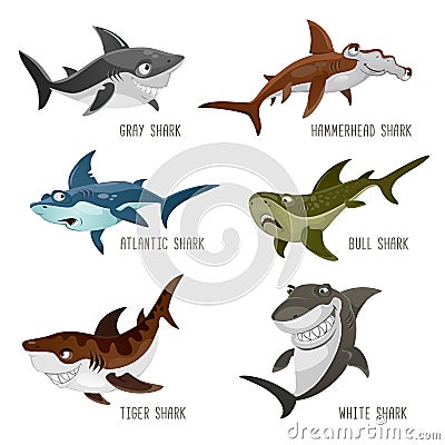 Set of cartoon sharks with different emotions isolated on white Vector Illustration