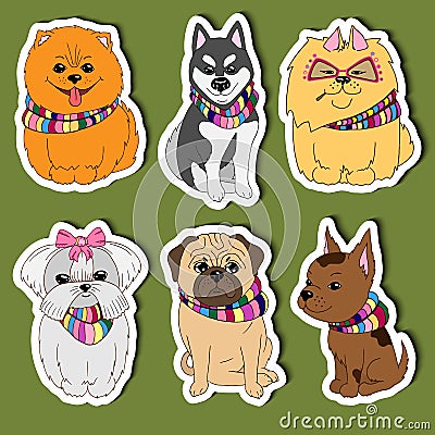 Set Cartoon Stickers Dogs for kids. Ð¡ute Vector Dogs: Husky, Pomeranian, Pug, Chihuahua, Maltese Vector Illustration