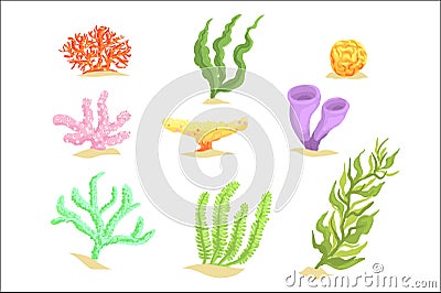 Set of cartoon underwater plants, seaweeds and aquatic marine algae vector Illustrations Vector Illustration