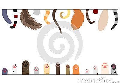 Set of cats tails and paws Vector Illustration