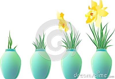 A set of ceramic jars with plants Vector Illustration