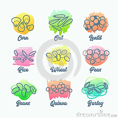 Set Cereal Types, Isolated Icons of Corn, Oat and Lentil, Rise Wheat and Peas, Beans Quinoa and Barley Vector Illustration