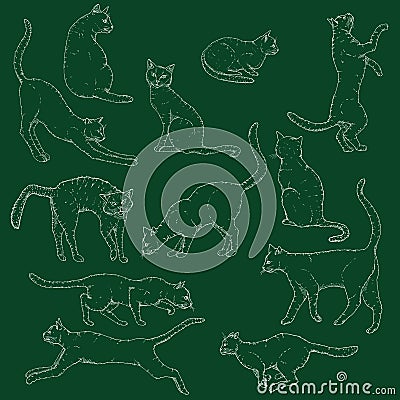 Vector Set of Chalk Sketch Cats illustration. Hand Drawn Feline Poses Vector Illustration