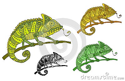 Set of chameleons, colored, black and white. Vector illustration, hand drawn Vector Illustration